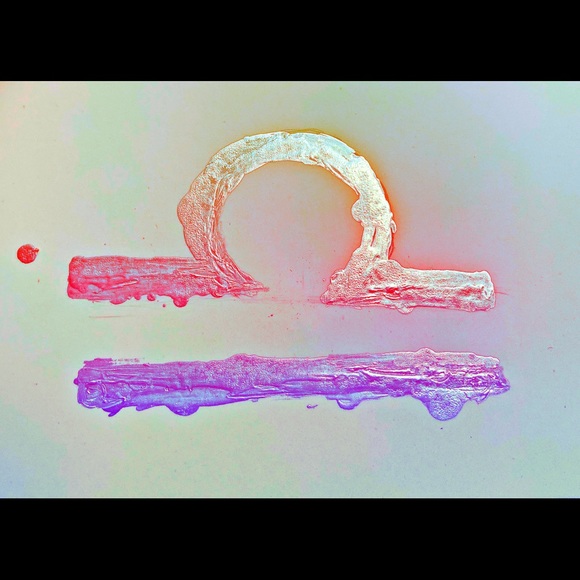 Meet the Posher - Picture 4 of 10